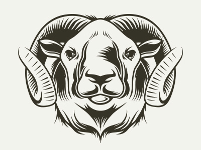 Bighorn Sheep Vector Design animal bighorn sheep goat illustration illustrative logotype logoground mountain sheep on sale logo sheep stock logo vector logo design