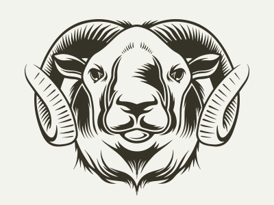 Bighorn Sheep Vector Design