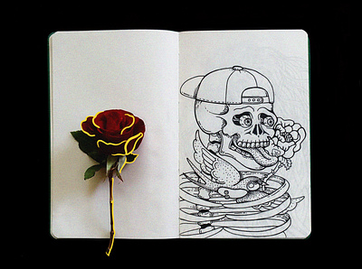 sketchbook | . skull . 1 illustration rose sketch sketchbook skull skull art