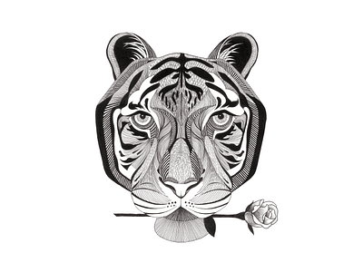 Chinese Zodiac Series | Year of the Tiger