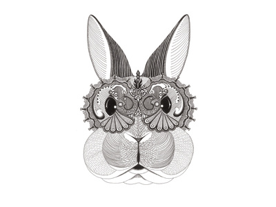 Chinese Zodiac Series | Year of the Rabbit