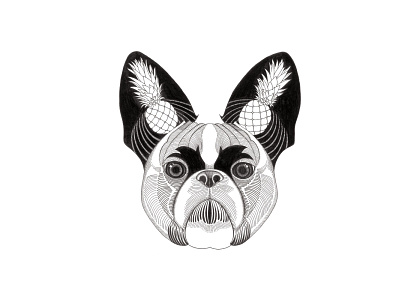 Chinese Zodiac Series | Year of the Dog animal black and white bulldog chinesezodiac design dog drawing graphic illustration ink pineapple zodiac