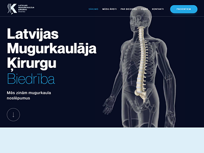 Latvian Society of Spine Surgeons ui ux web web design website