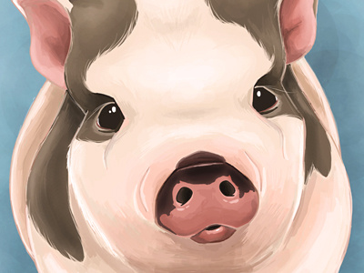 Penny the Pig drawing minipig painting penny photoshop pig portrait