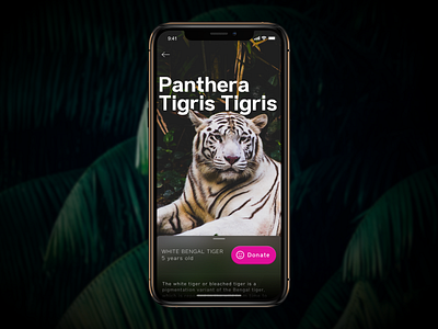 ZOO App [concept]