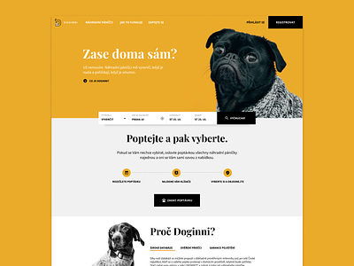 Doginni redesign - personal project animal canine dog dogs dogwalking pet web webdesign website