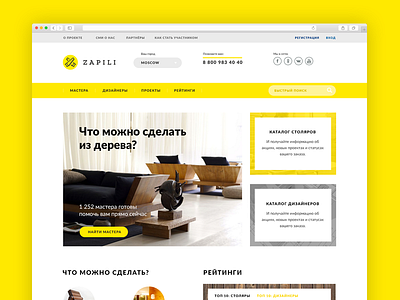 Zapili ui ux web design