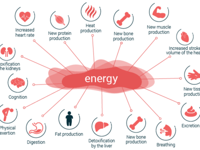 Energy Expenditure adobe adobe illustrator cc design illustration vector vector art vector artwork web