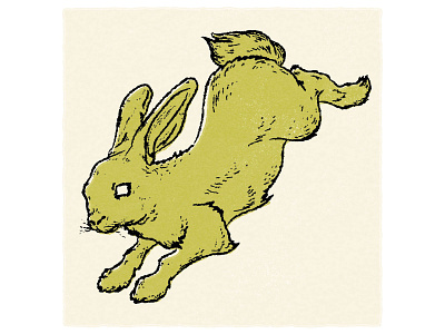 Rabbit Illustration