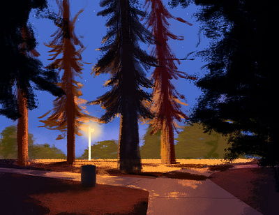 Light study in the park digital illustration digital painting illustrations light night park redwoods shadow trees