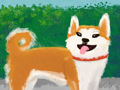 Akita childrens illustration digital illustration digital painting dog dog breed illustrations