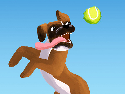 Boxer boxer dog childrens book digital illustration digital painting dog dog breed dog illustration fetch illustration