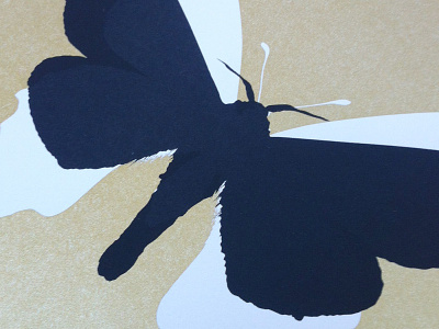 Butterfly butterfly gold print silkscreen