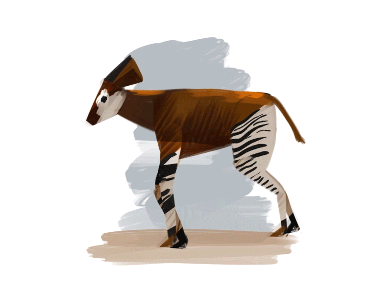 Okapi 2d animal animation character design cologne duik germany illustration jump motion okapi walkcycle wildlife