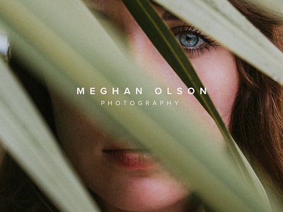 Meghan Olson Photography