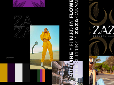 ZaZa Behance Case Study animation behance case study branding cannabis brand culture brand design graphic design illustration lifestyle brand logo packaging design typography ui vector web design webdesign zaza