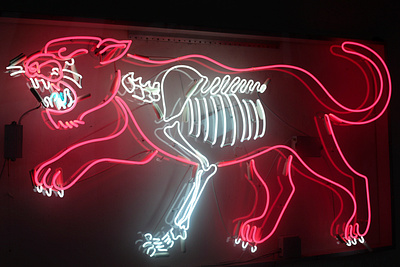 Electric Beast anatomy beast bones dani b electric neon neon sign panther pink tiger