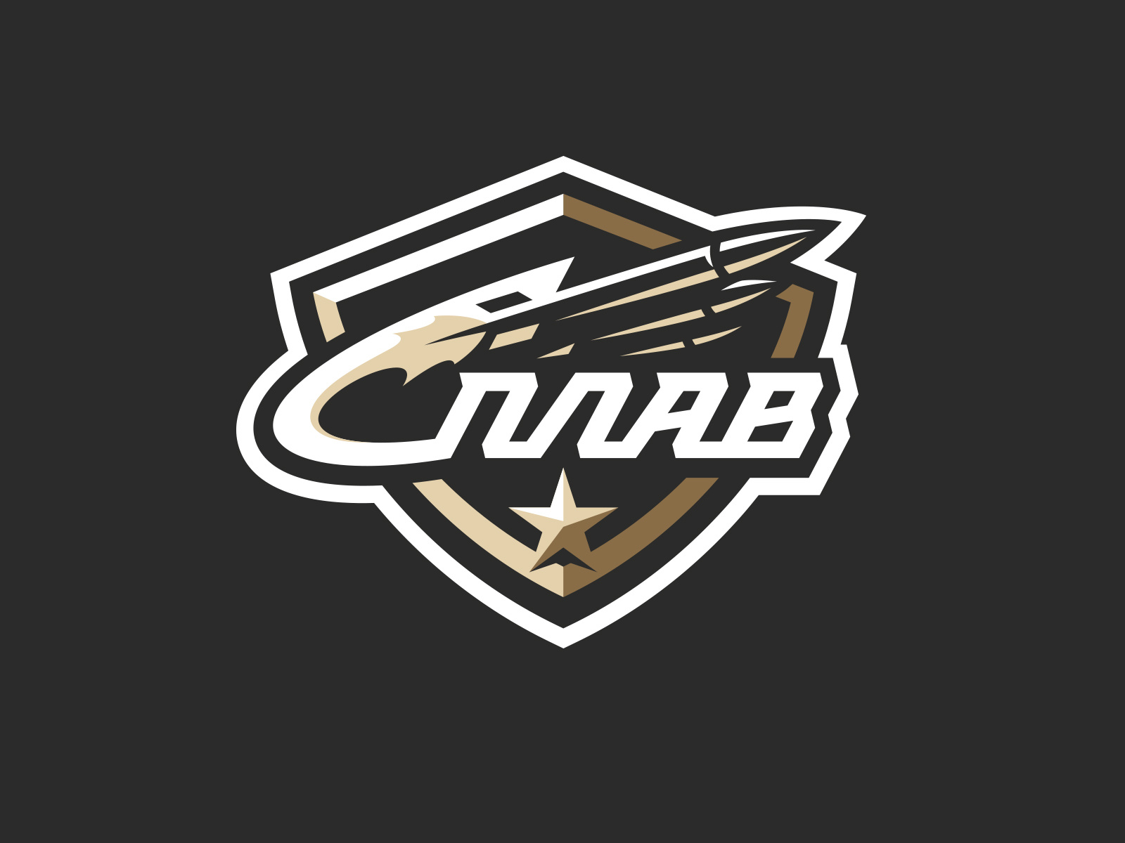 splav-by-yury-orlov-on-dribbble