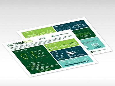 Institutional Profile