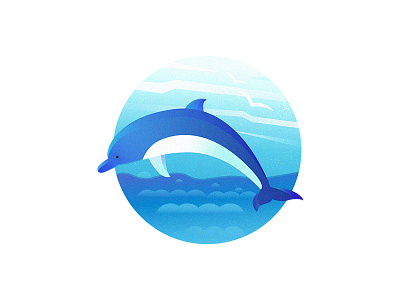 Blue Dolphin illustration illustrations
