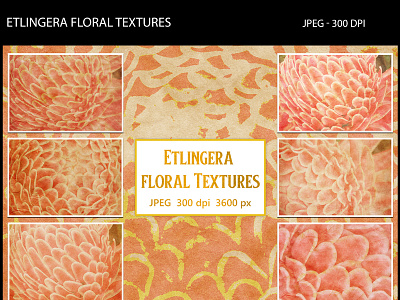 Etlingera Floral Textures abstract etlingera floral flower plant textures