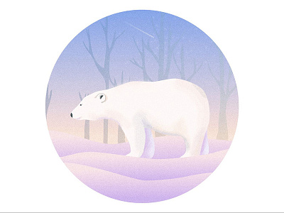 polar bear illustrator