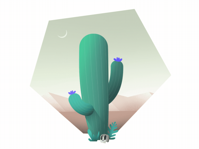 Cactus 2d after animation cactus desert skull