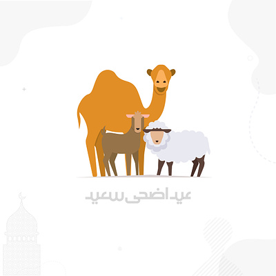 Eid Ul Adha Mubarak 100daychallenge illustration typography vector