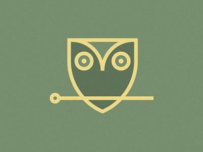 Acupuncture Owl acupuncture medicine owl shield