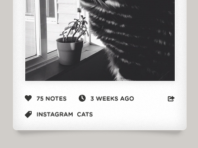 Instagram Tumblr Theme instagram polaroid theme tumblr ux