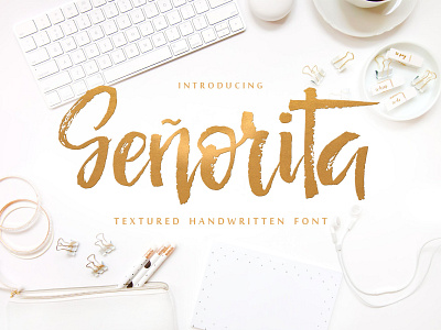 Seniorita 1 Dribble branding design hand drawn font logo