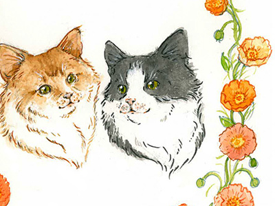 Magnolia & Zeb cats illustration pets poppies portrait watercolor