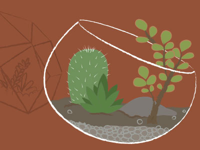 Open Terrarium Illustration cactus illustration succulent terrarium