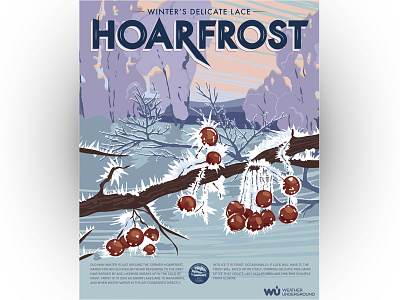 Hoarfrost Weather Poster