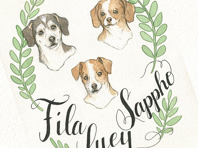 Triple Dog Portrait calligraphy dog dogs illustration pet portrait puppies puppy typography watercolor
