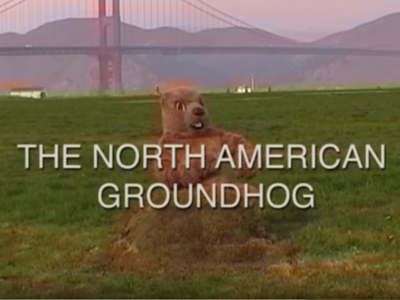 Belated Groundhog Day! forecast groundhog san francisco video weather youtube