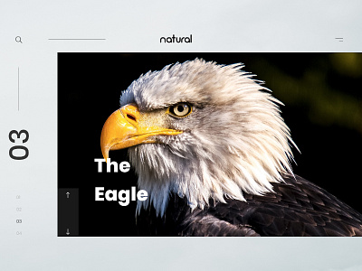 Eagle