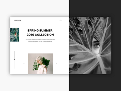 Lookbook design ui ux uxui web