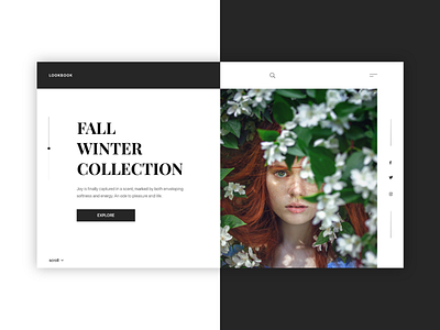 Lookbook design ui ux uxui web