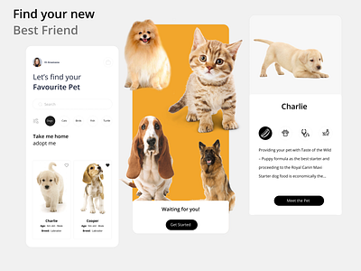 Pet Adoption App Concept clean app creative design design figma ui ux ux design