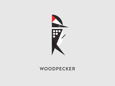 Woodpecker Illustration