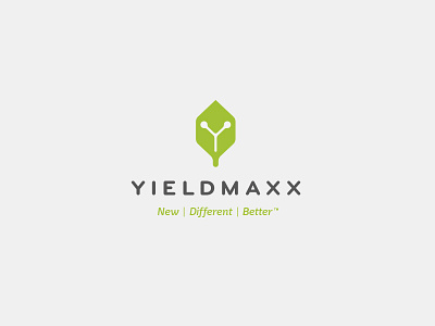 YieldMaxx Logo agronomy cube farm farming growth leaf logo science seed y yield