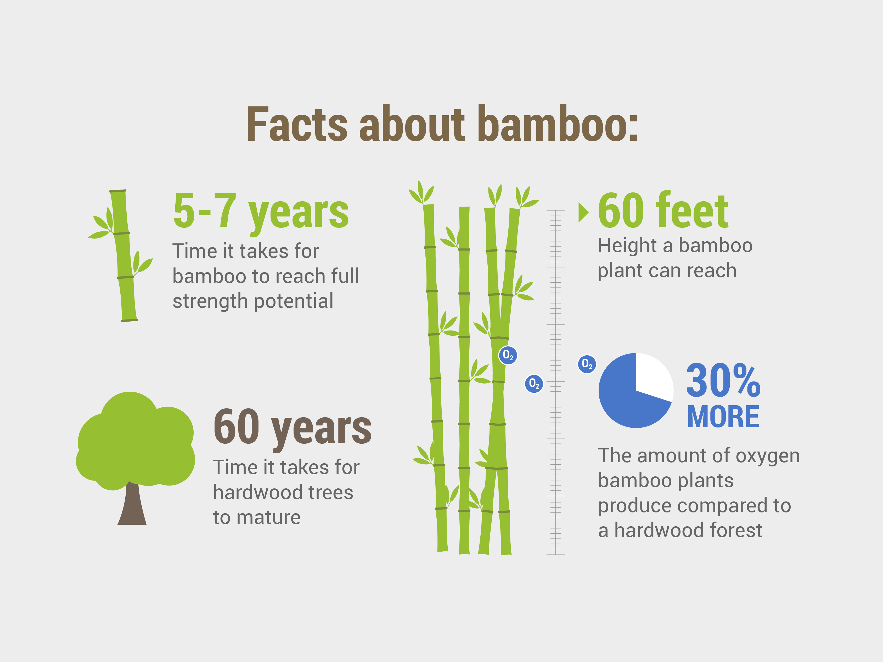 essay about bamboo tree