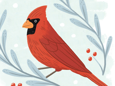 Northern Cardinal birds folk illustration nature northern cardinal painting red winter