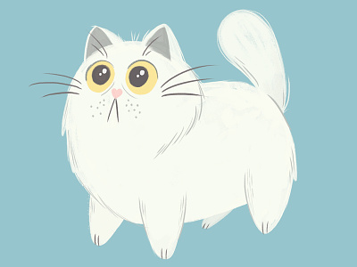 Persian cat cat character design children illustration illustration painting. kitty persian pet white cat