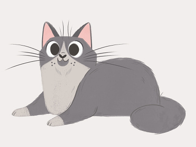 Grey and White Cat cat character design children illustration cute grey cat illustration kitty painting pet