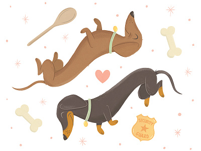 Two Dachshunds bone character design children illustration childrens illustration dachshunds dog illustration painting pet security badge spoon wiener dog