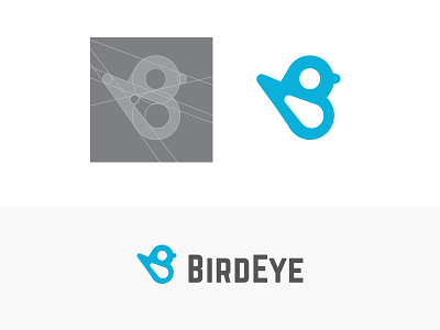 BirdEye Logo bird icon logo norwester symbol