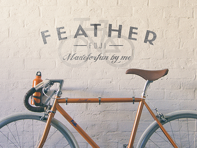 Fuji Feather bike fun hipster logo madebyvadim photo project self promo shoot single speed