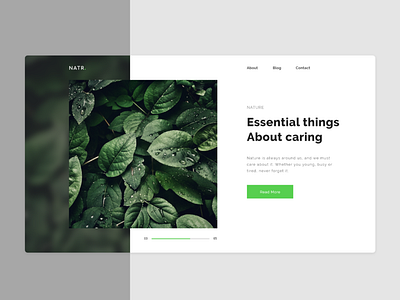 NATR. - main page design